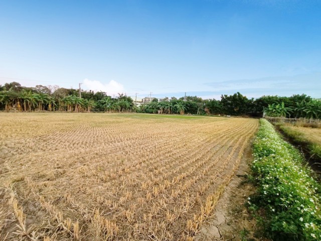 富岡火車站農地